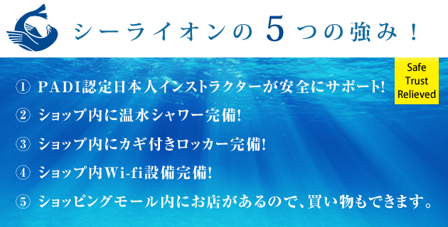 シーライオンの5つの強み シーライオンの5つの強み