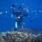 CEBU Diving!!☀_180320_0050