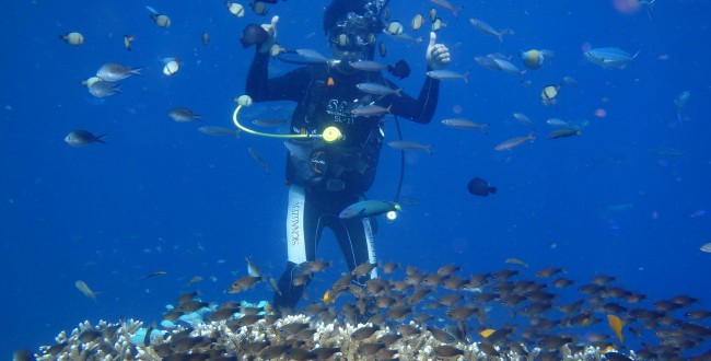 CEBU Diving!!☀_180320_0050