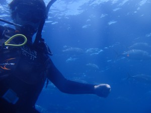 CEBU Diving!!☀_180320_0019