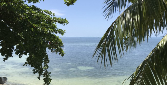 シャルガオ サーフトリップ_180409_0096