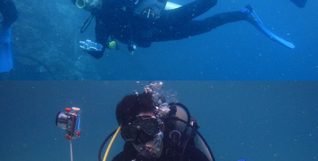 S__33857543