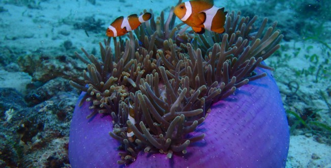 P3270539
