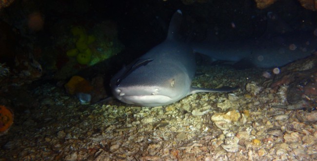 PB010140