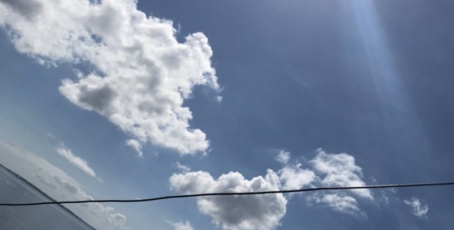 S__43384877