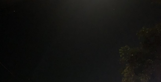 S__44548134