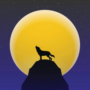 Wolf howling in front of Super moon