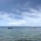 S__45539348