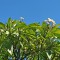 IMG20200604152702