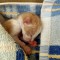 IMG20200722112110
