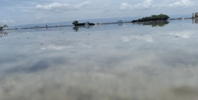 S__47849484