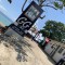 S__49995796