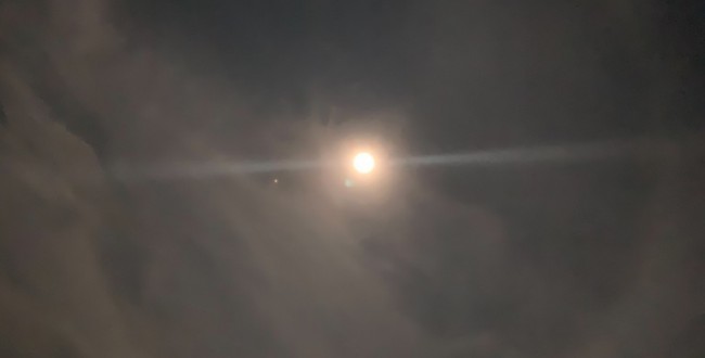 S__50069523