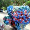 IMG20201103124852