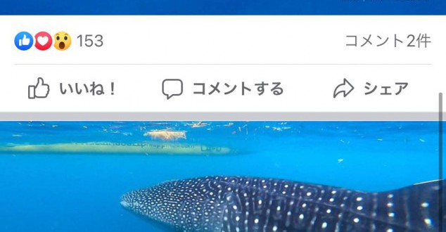 S__52125703