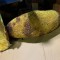 S__52887629