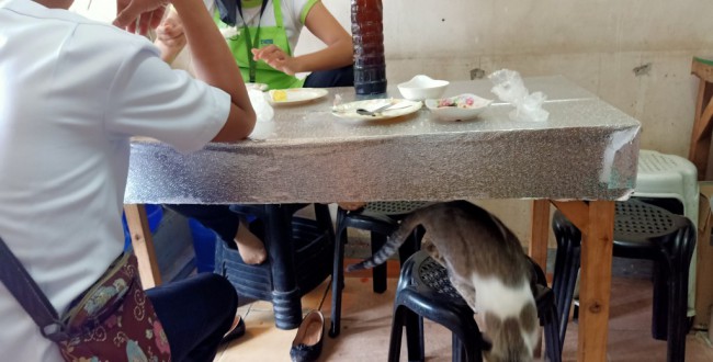 IMG20210130124135