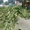 IMG20210216134801