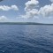 S__55820306