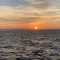 S__55861266
