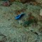 IMG_20201109_205806