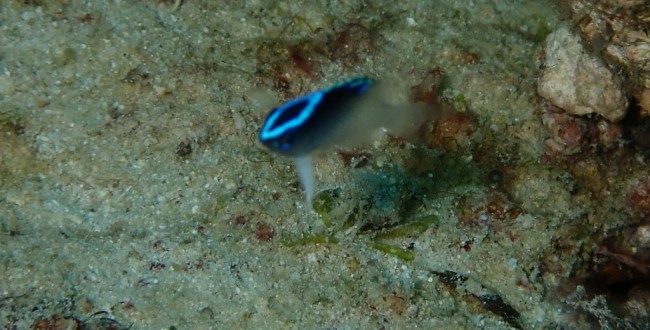 IMG_20201109_205806