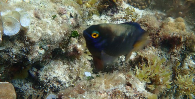 OI002687
