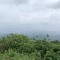 S__61546517