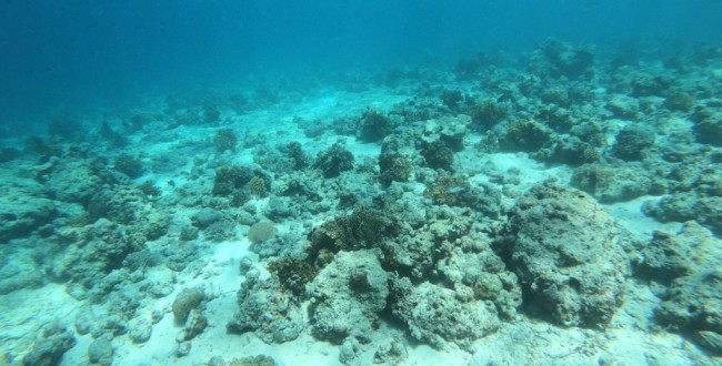 GOPR0646