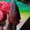 IMG20210326180957
