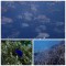 PhotoCollage_1636194162922