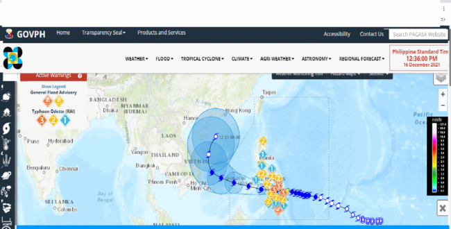 スクリーンショット 2021-12-16 13.36.03