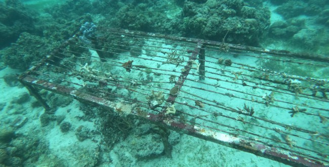 GOPR1982