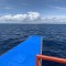 S__73883664