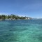 S__74219527