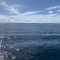 S__74424345