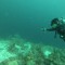 GOPR2187