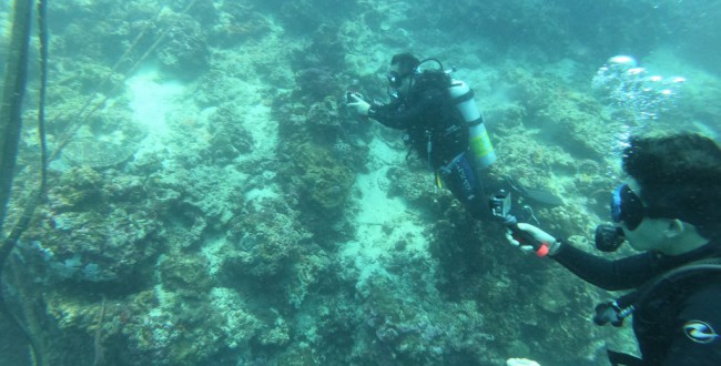 GOPR2705