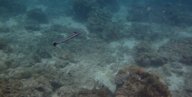 P9251167