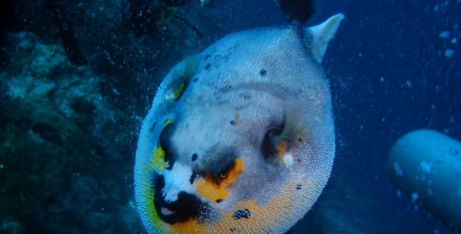 PB021716
