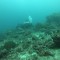 GOPR2847